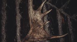 квест Баба-Яга в Москве фото 2