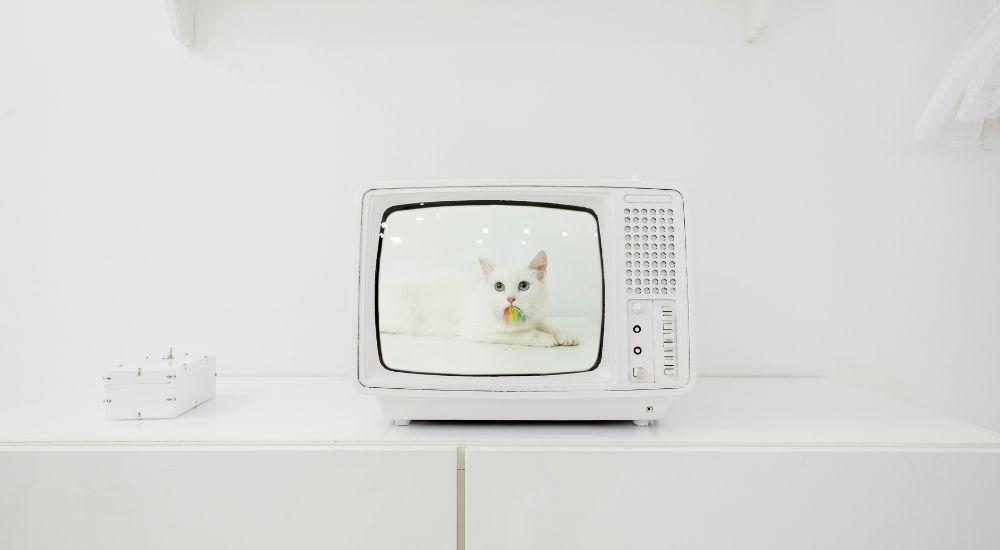 квест Белая комната в Москве фото 1