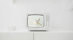 квест Белая комната в Москве фото 1