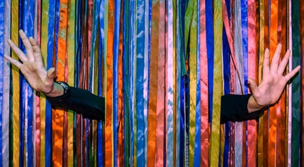 лабиринт Радужный лабиринт в Москве фото 0