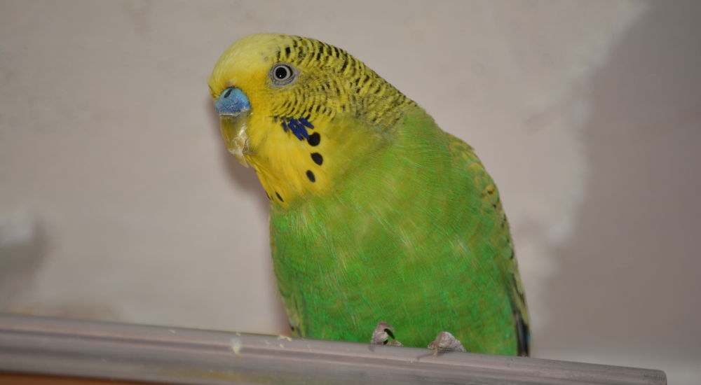 квест Бункер №1 в Москве фото 0