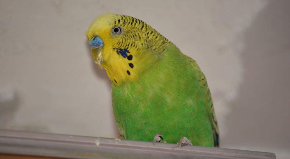 квест Бункер №1 в Москве фото 2