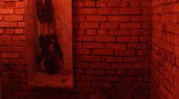 квест Маньяк - коллекционер в Москве фото 3