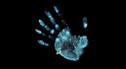 квест На ощупь в Москве фото 3