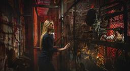 квест Ночной кошмар в Москве фото 0